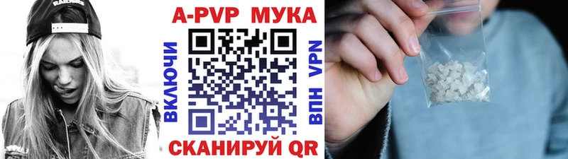 Альфа ПВП СК  Елизаветинская 