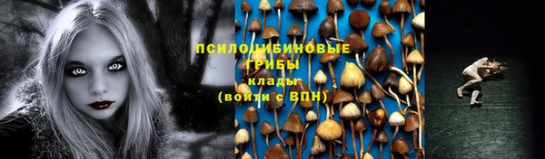 гидра Верхнеуральск