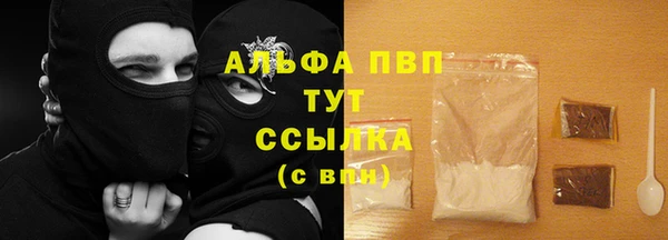 эйфоретик Бородино