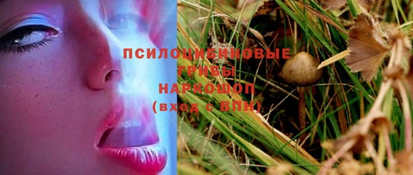 PSILOCYBIN Верея