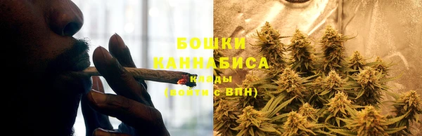 PSILOCYBIN Верея