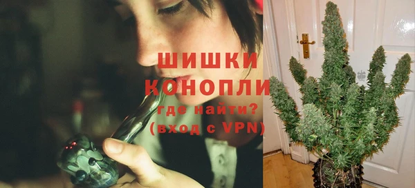 PSILOCYBIN Верея